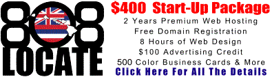 $300 Start-Up Package, All you'll need to get your business online.